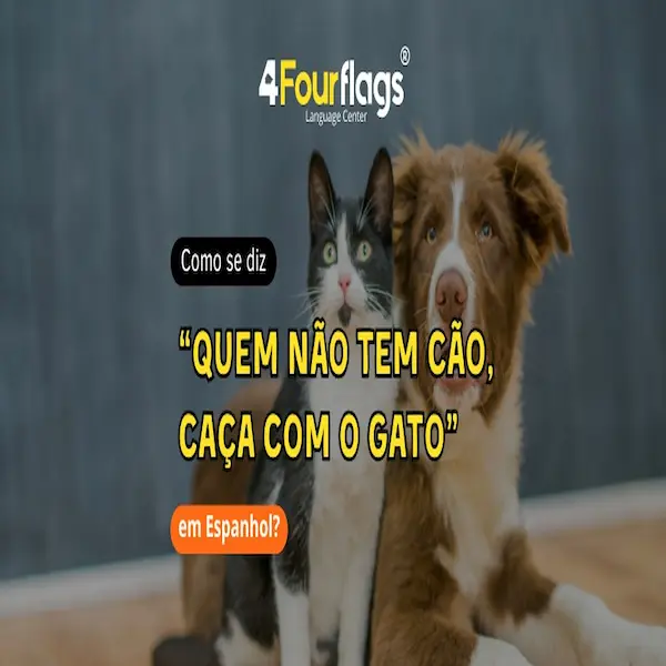 Como dizer Quem não tem cão caça com o gato em espanhol: guia de expressões idiomáticas e provérbios ilustrado com um gato e um cachorro juntos, oferecido pela FourFlags Language Center